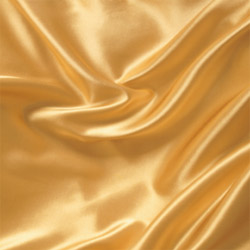 Blank gold satin CD jacket cover